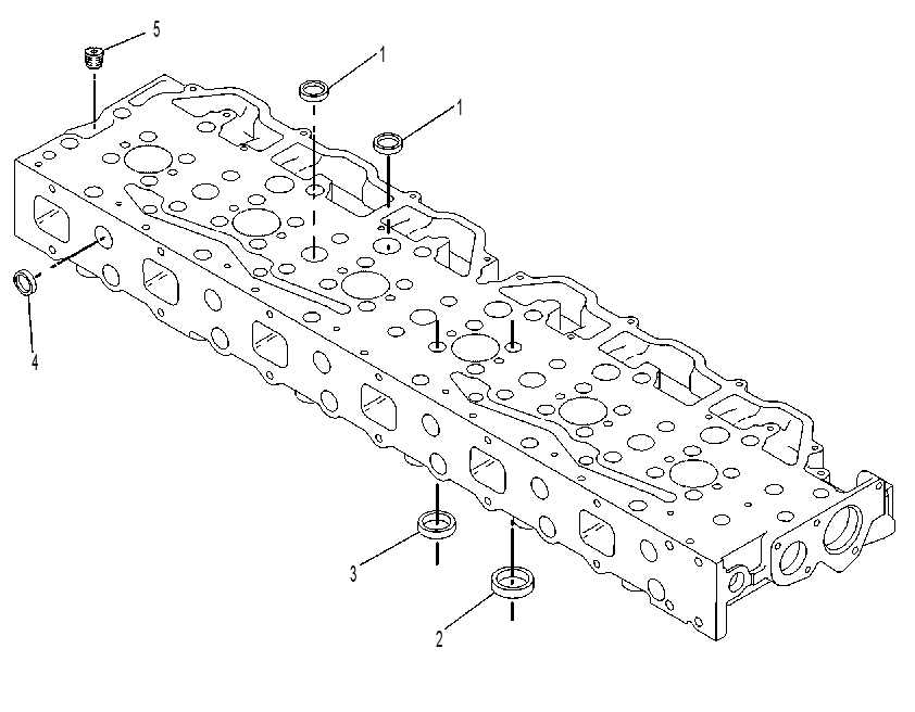 Головка блока цилиндров в сборе 2W1033 CAT
