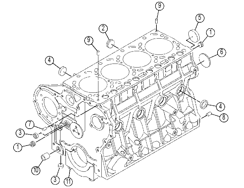 Блок цилиндров в сборе 4828464 CAT