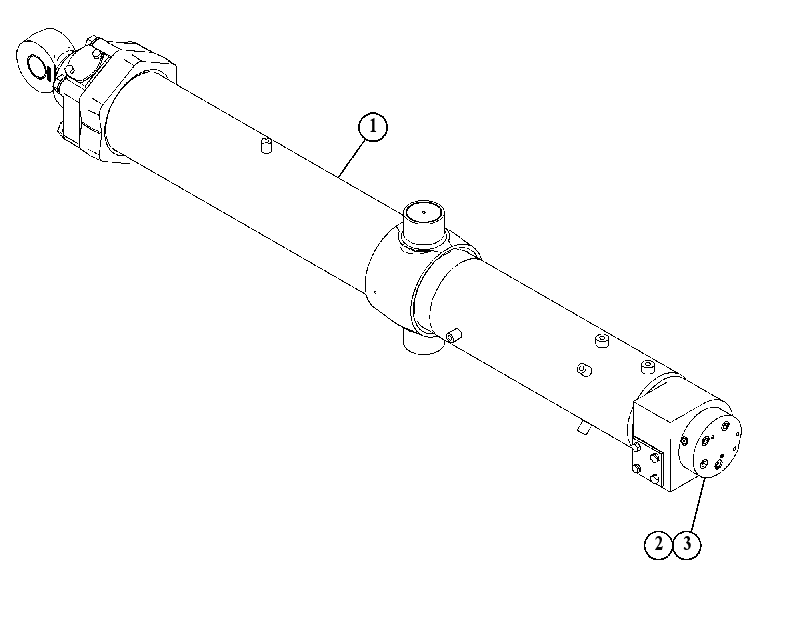 CYLINDER & SENSOR GP-LIFT 4643630 CAT