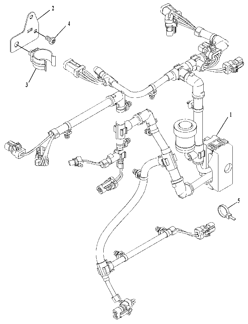 Проводка двигателя 3161102 CAT